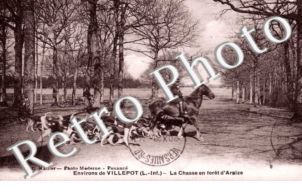 la Chasse en foret d'Araize
