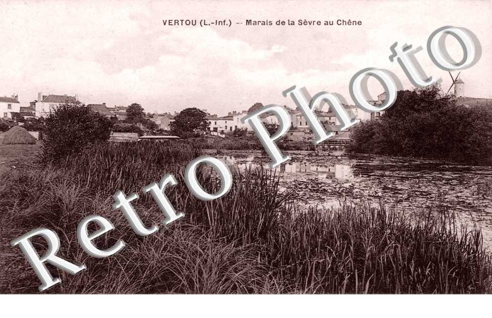 Marais de la Sevre au Chene