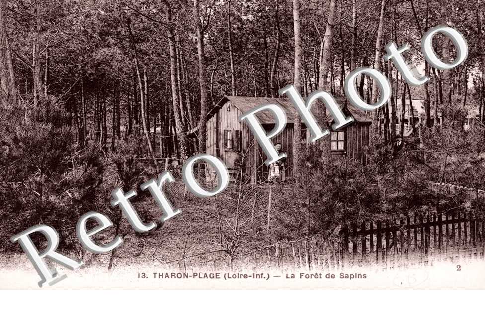 Tharon Plage - La Foret de Sapins