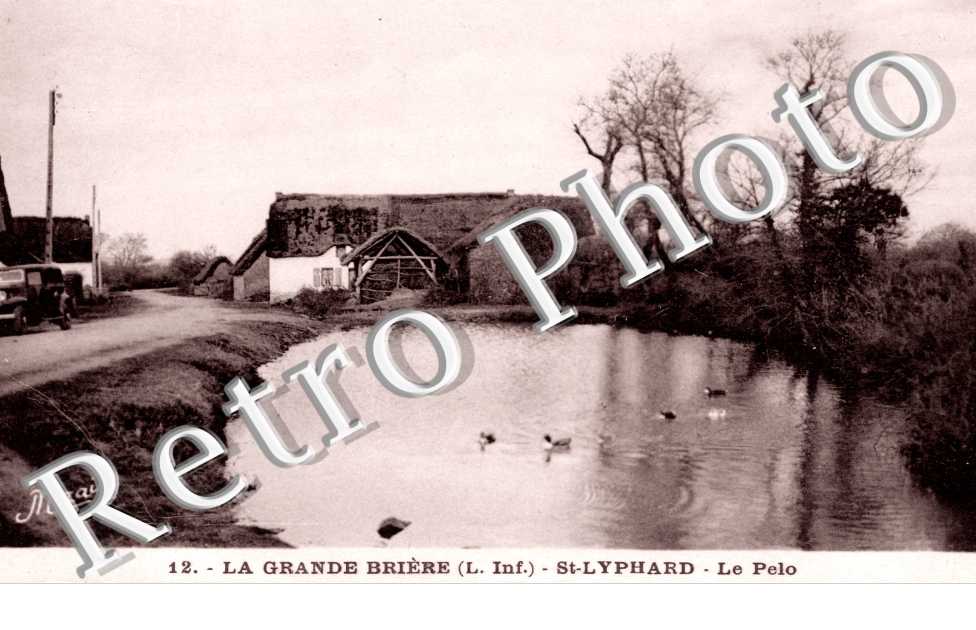 La Grande Briere, Le Pelo