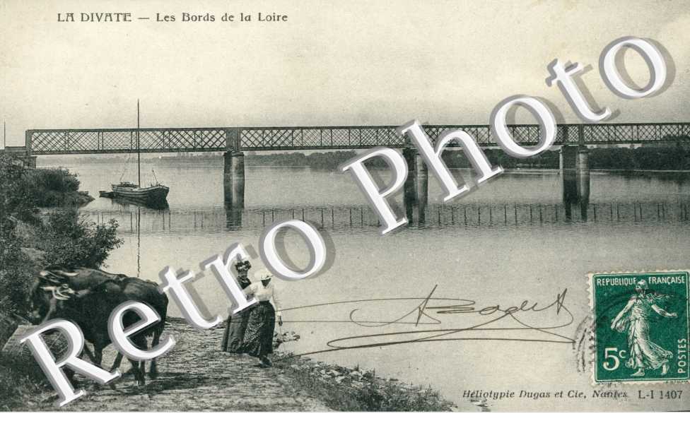 La Divate, les bords de la Loire