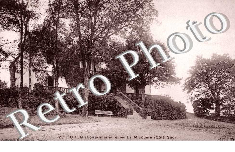 la Micotiere