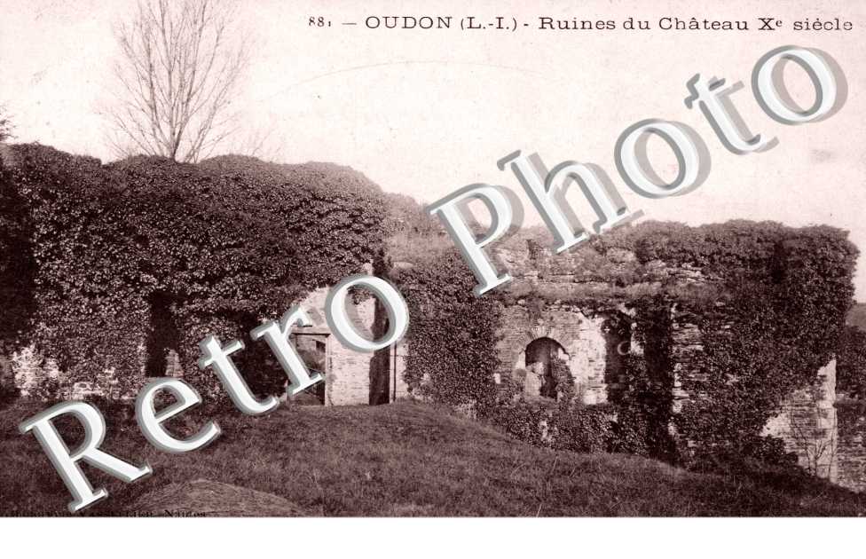 ruines du chateau du X°