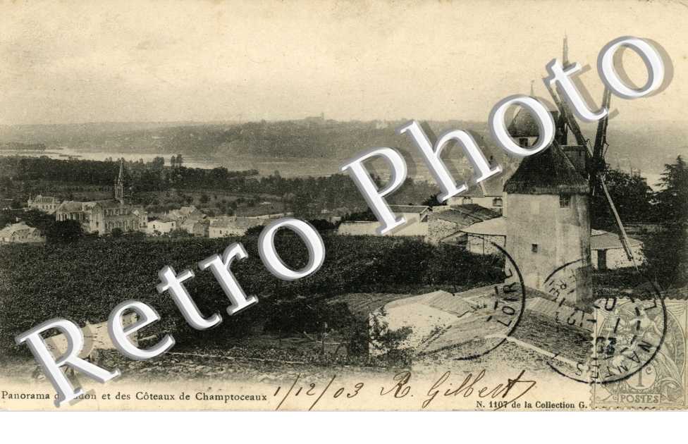 panorama et coteaux de champtoceaux