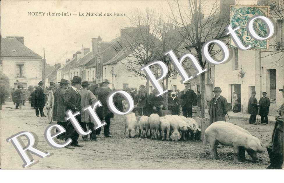 Le marche aux porcs