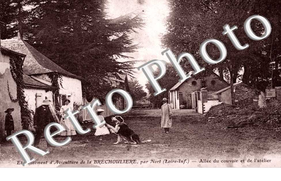 Etablissement d'Aviculture de la Brechouliere