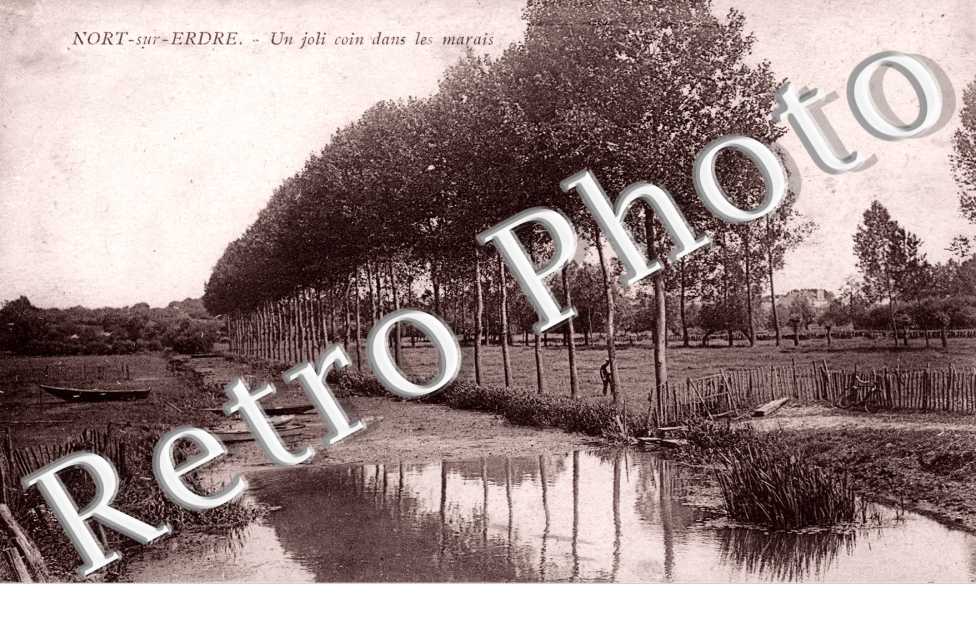 Coin dans les marais