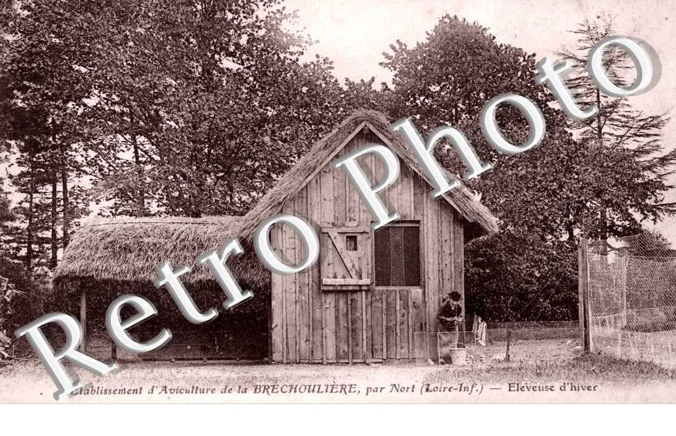 Etablissement d'Aviculture de la Brechouliere
