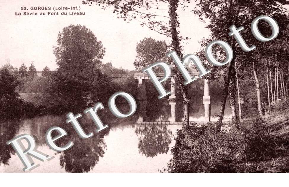 La Sevre au pont du Liveau