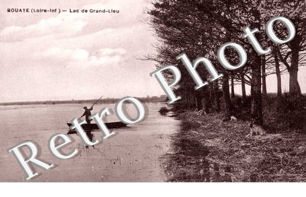 Lac de Grand Lieu
