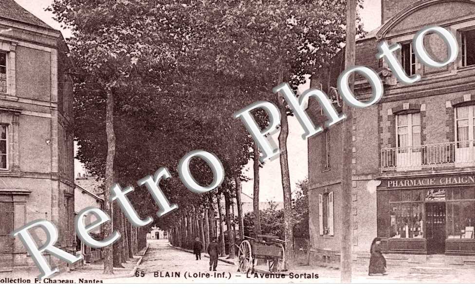 L'Avenue Sortais