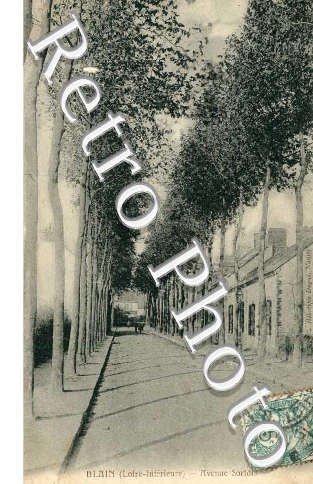 Avenue Sortais