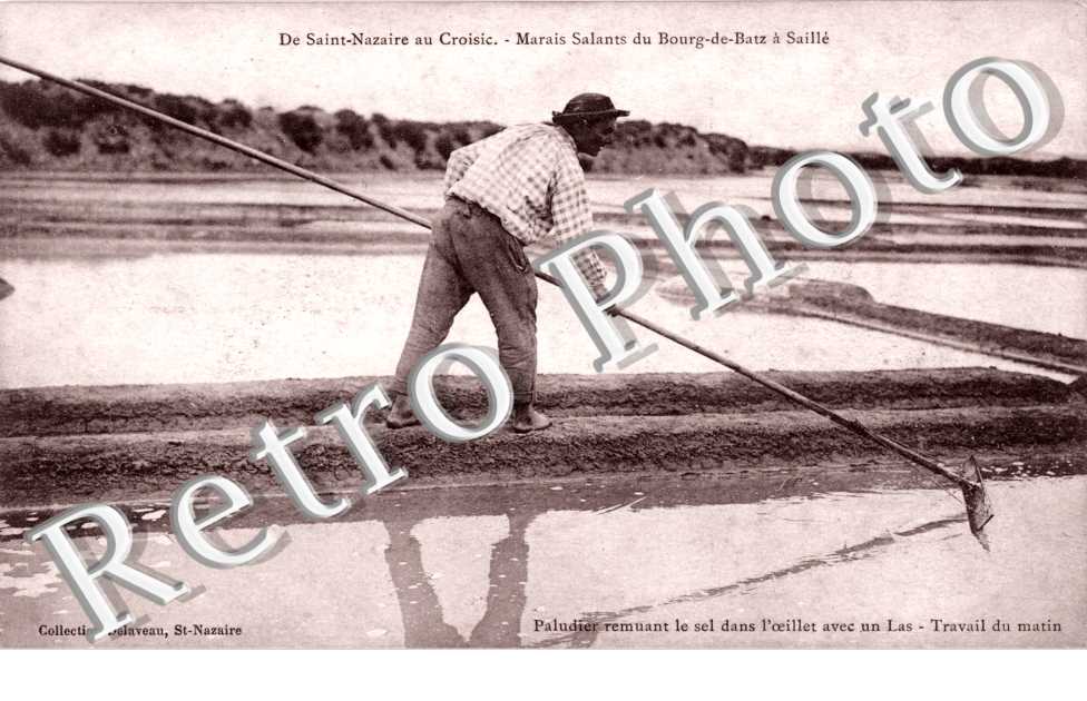 paludier remuant le sel dans l'oeillet avec un Las