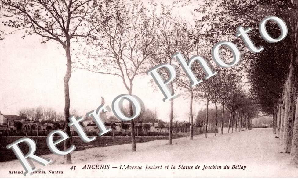 L'avenue Joubert et la Statue de J. du Bellay