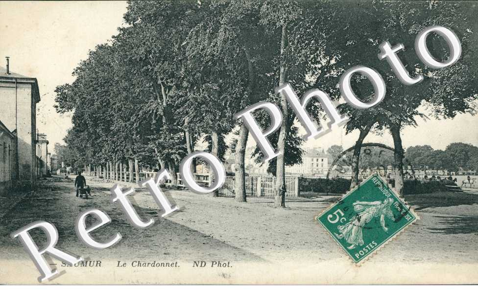 Le Chardonnet