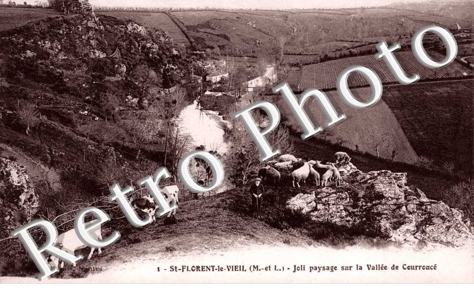 Joli paysage sur la Vallée de Courroncé
