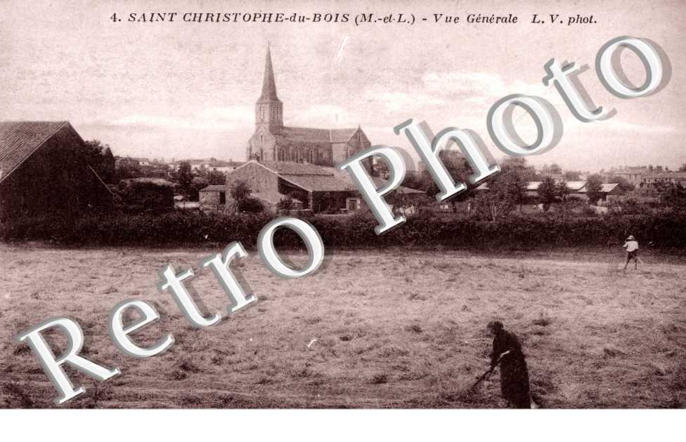 Vue generale