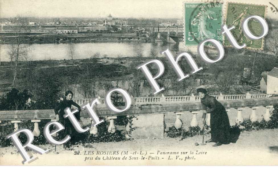 Panorama sur la Loire