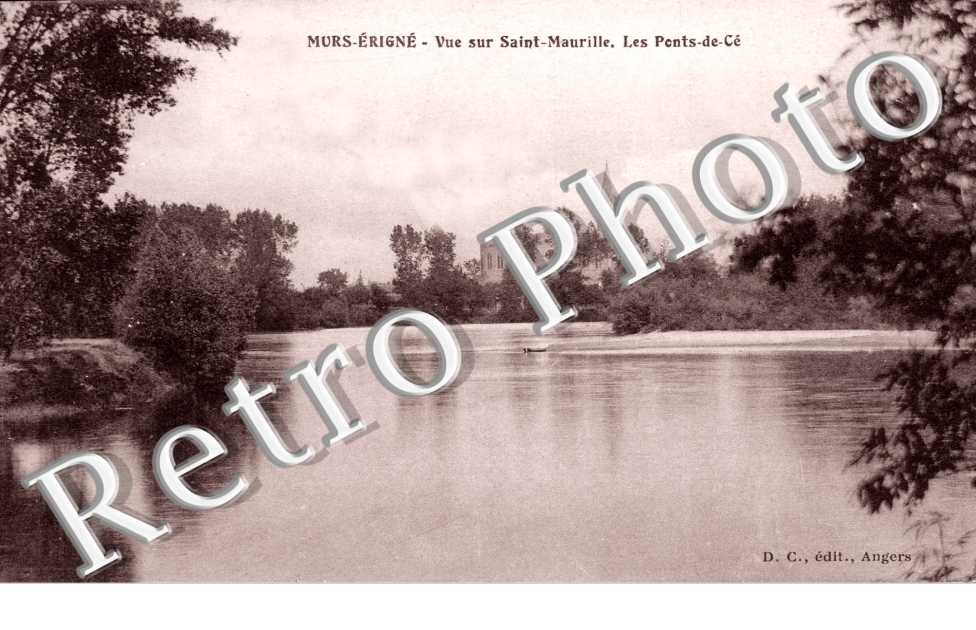 Vue sur Saint Maurille, les Ponts de Ce