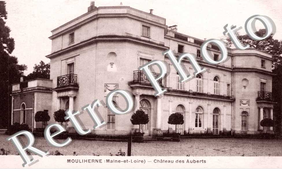 Chateau des Auberts