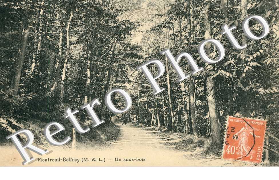 Montreuil Belfroy, un Sous Bois