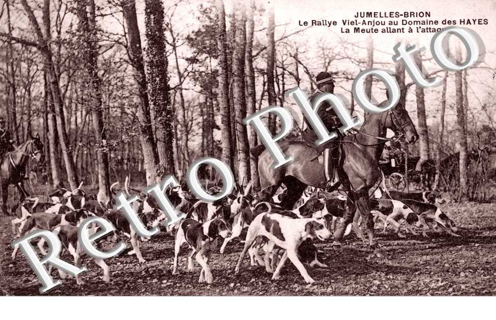 le rallye viel anjou au domaine des Hayes, la meute allant a l'attaque