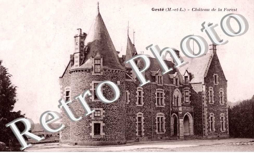 Chateau de la Forest