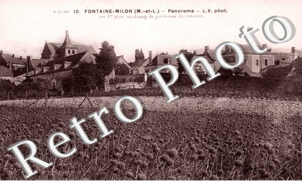 Panorama