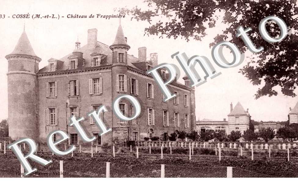 Chateau de la Frappiniere