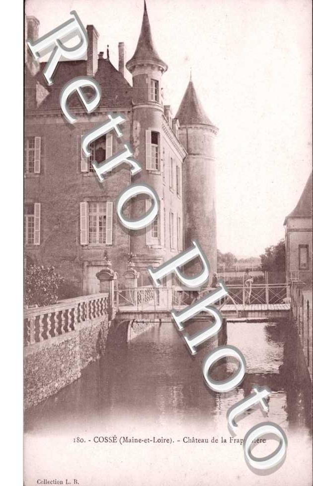 Chateau de la Frappiniere