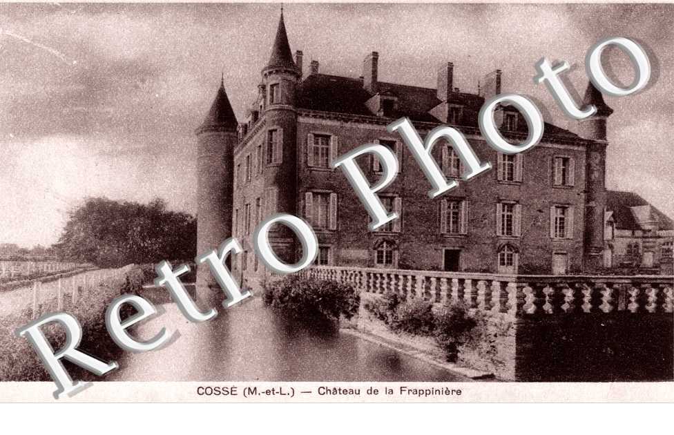 Chateau de la Frappiniere