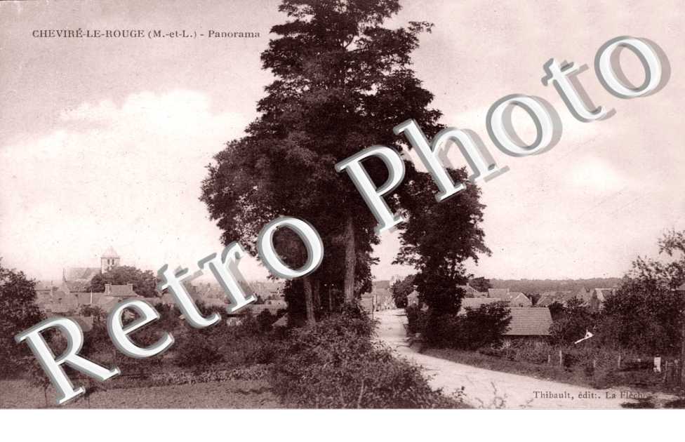 Panorama