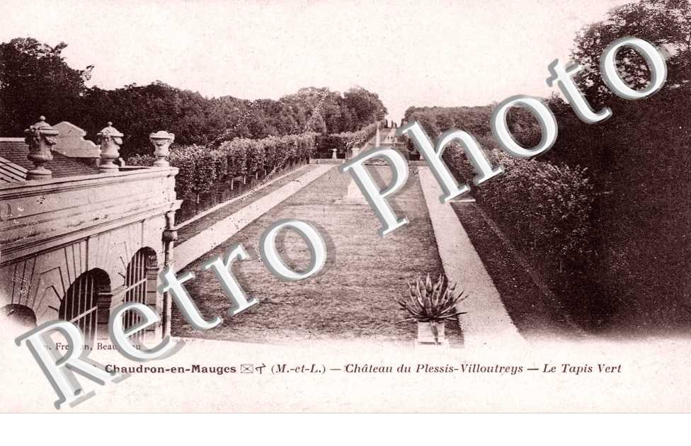 chateau  du Plessis-Villoutreys le tapis vert