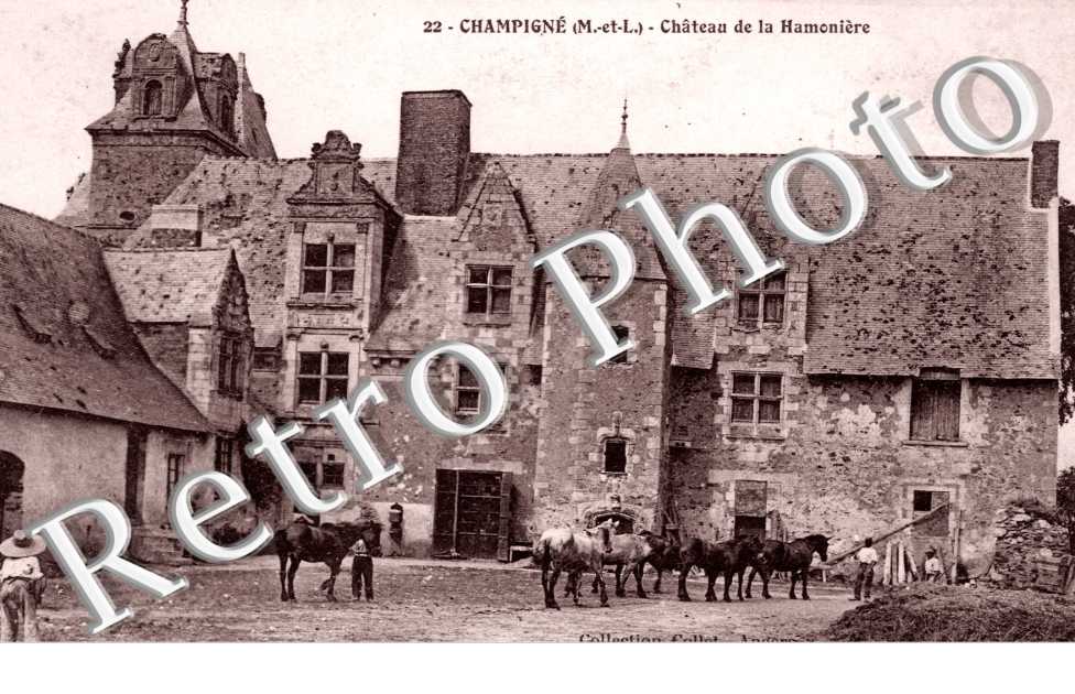 Chateau de la Hamoniere