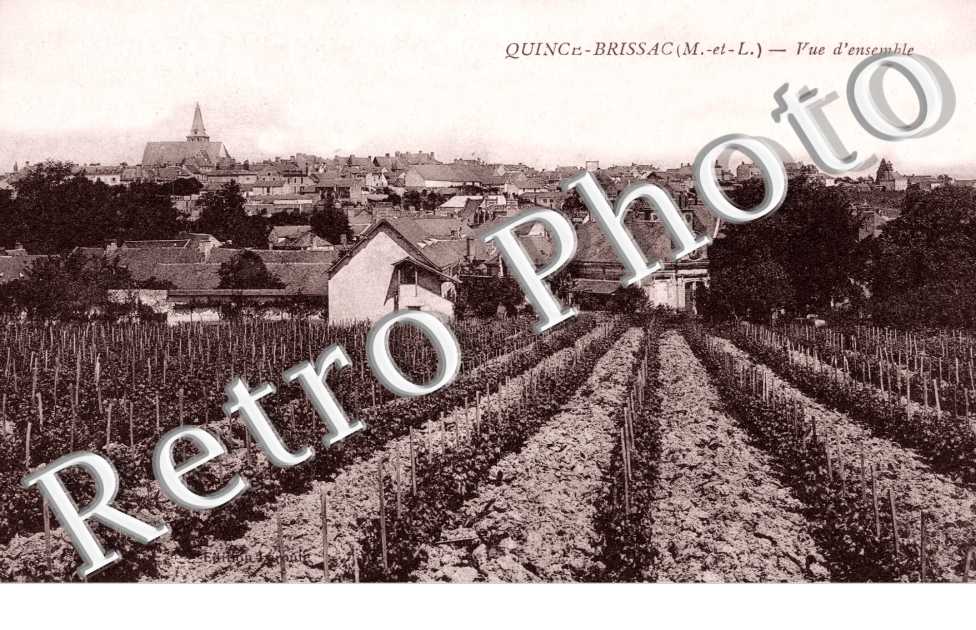 Vue d'ensemble