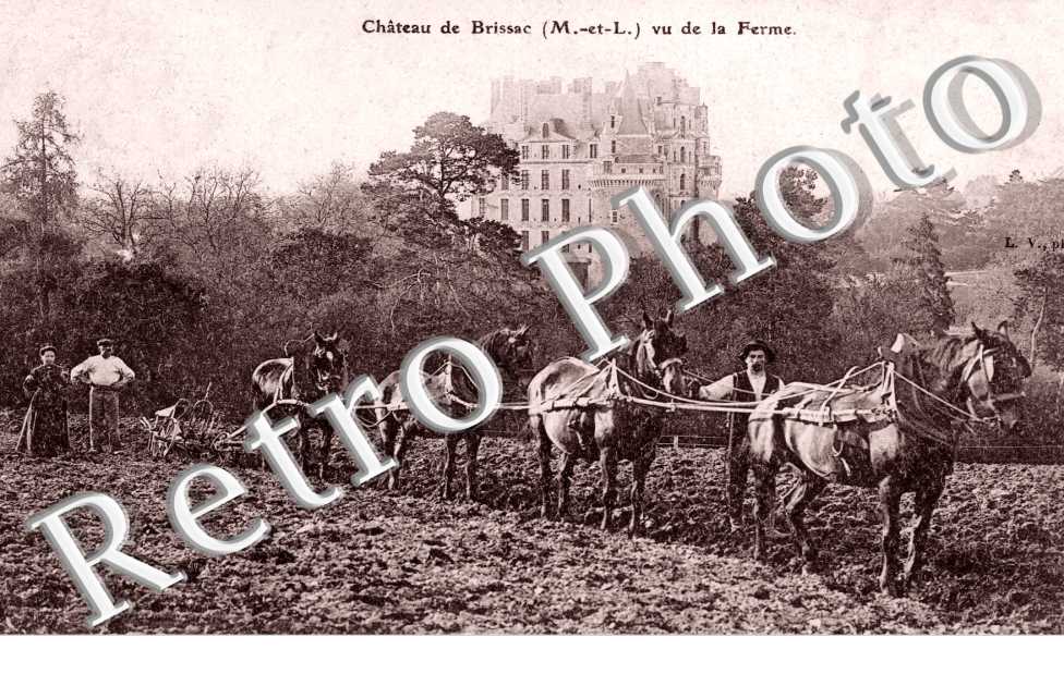 Le Chateau vu de la Ferme