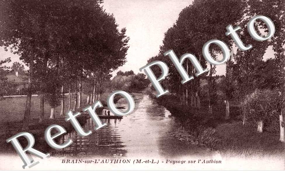 Paysage sur l'Authion