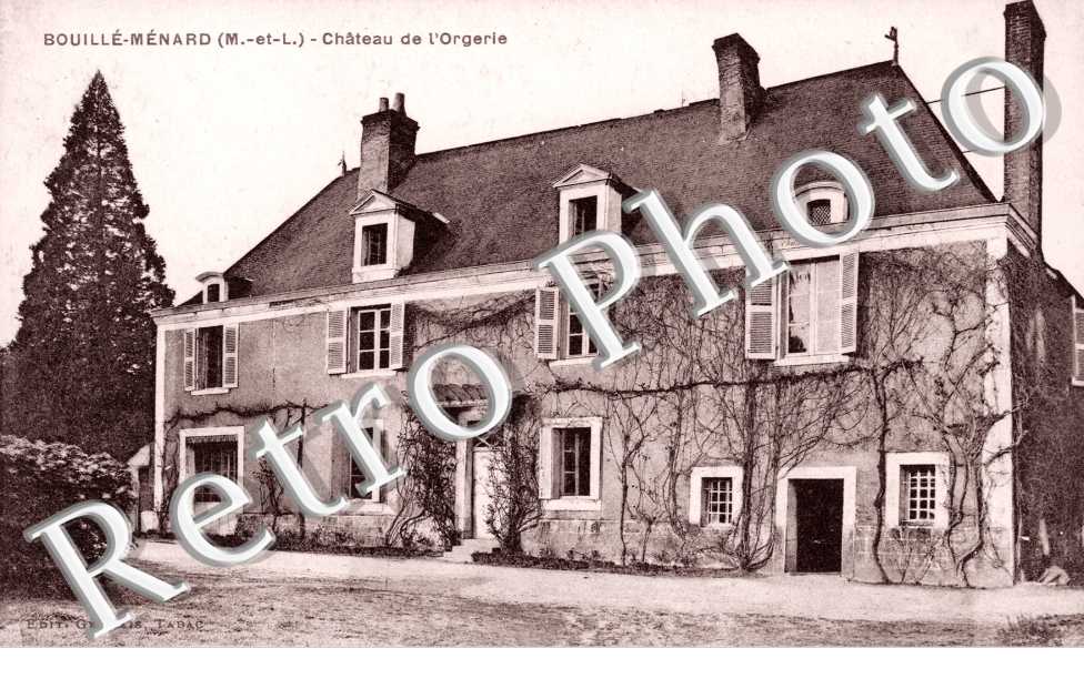 Chateau de l'Orgerie