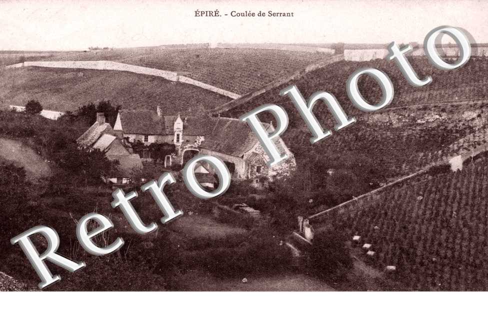EPIRE - coulee de Serrant