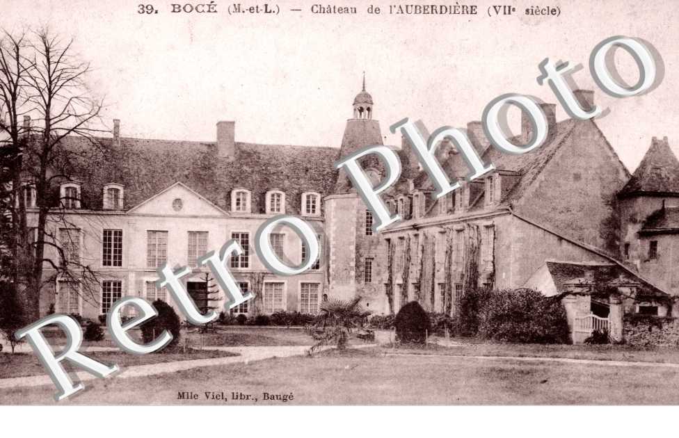 Le Chateau de l'Auberdiere