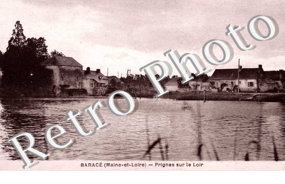 Prignes sur le Loir