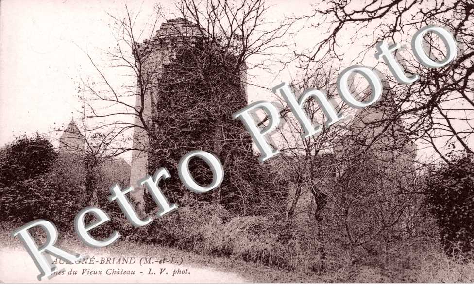 Ruines du Vieux Chateau