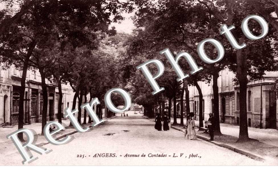 Avenue de Contades