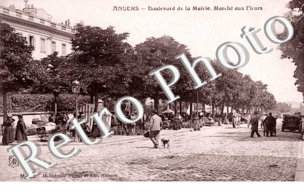 Boulevard de la Mairie et Marche aux Fleurs