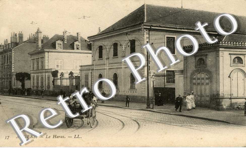 Le Haras