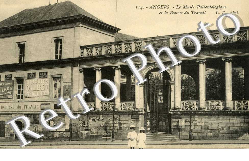 Le musee Paleontologique et la bourse du travail (rue Jules Guitton)