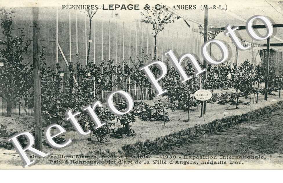pepinieres Lepage & Cie
