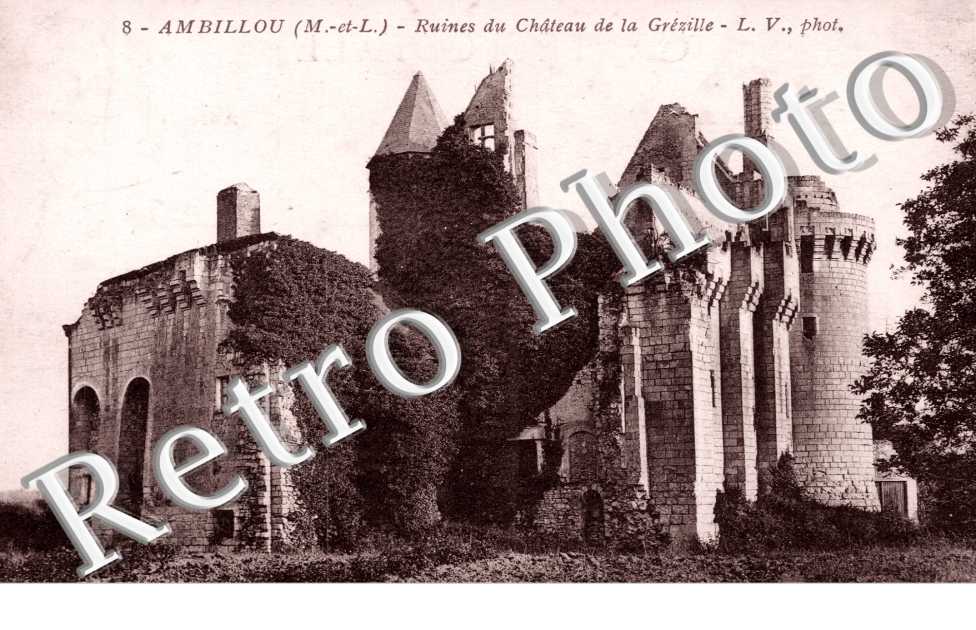 Ruines du Chateau de la Grezille