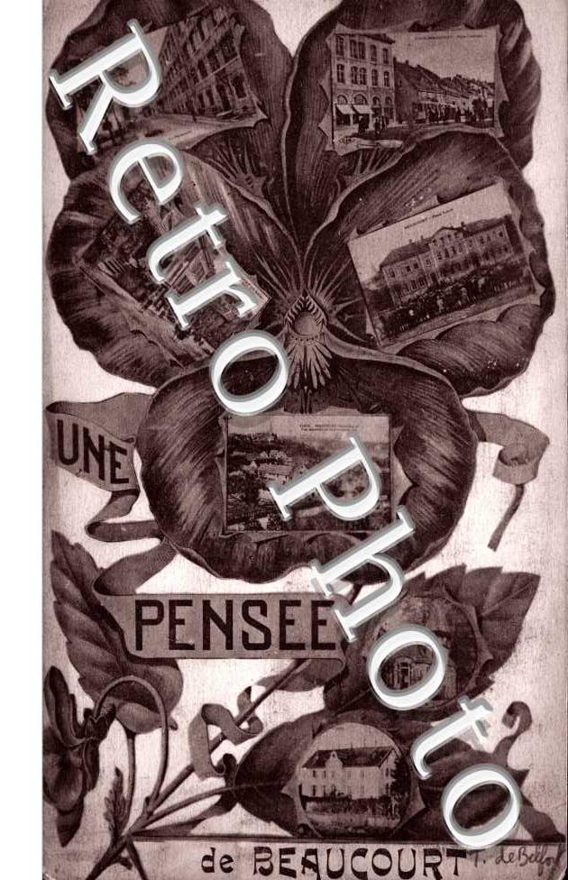 une pensee de Beaucourt