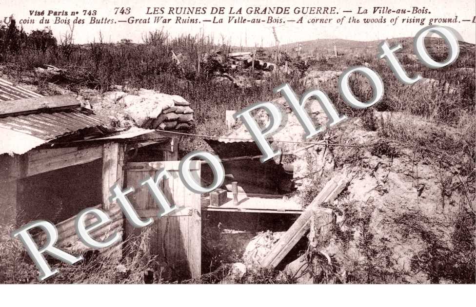 Un coin du Bois des Buttes